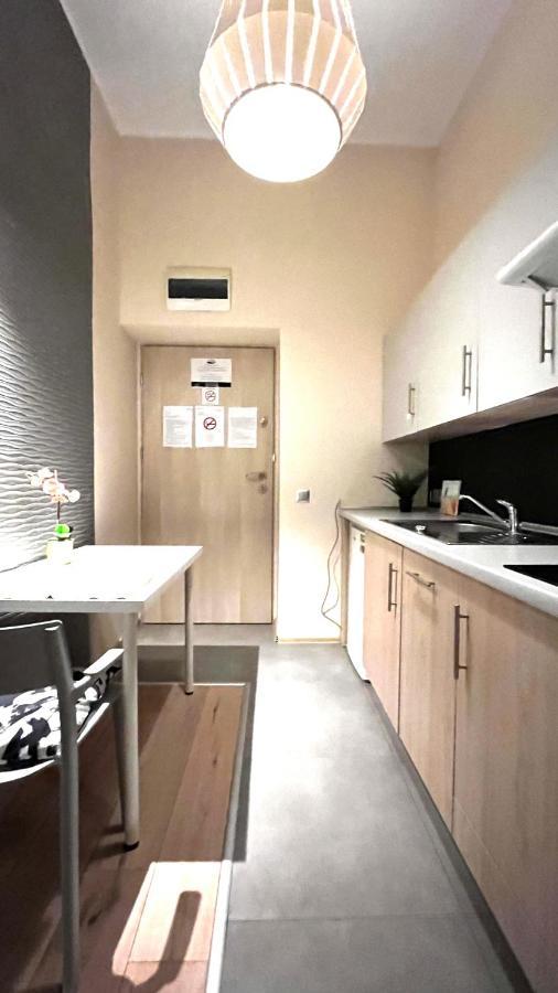 Single Studio In City Center Kraków Eksteriør billede