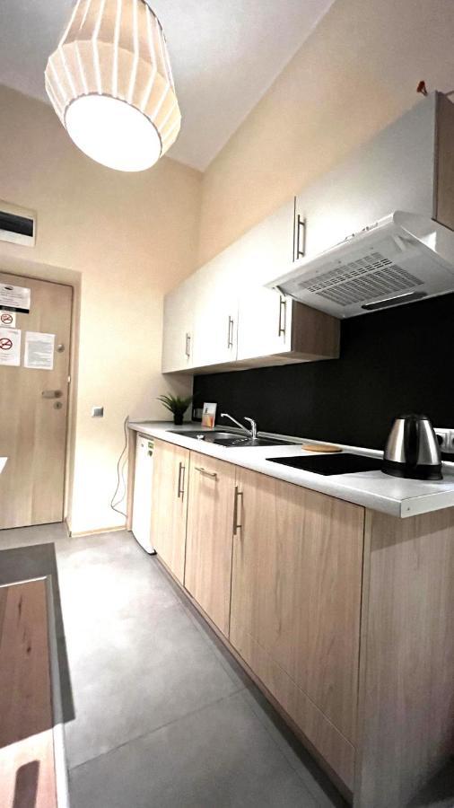 Single Studio In City Center Kraków Eksteriør billede